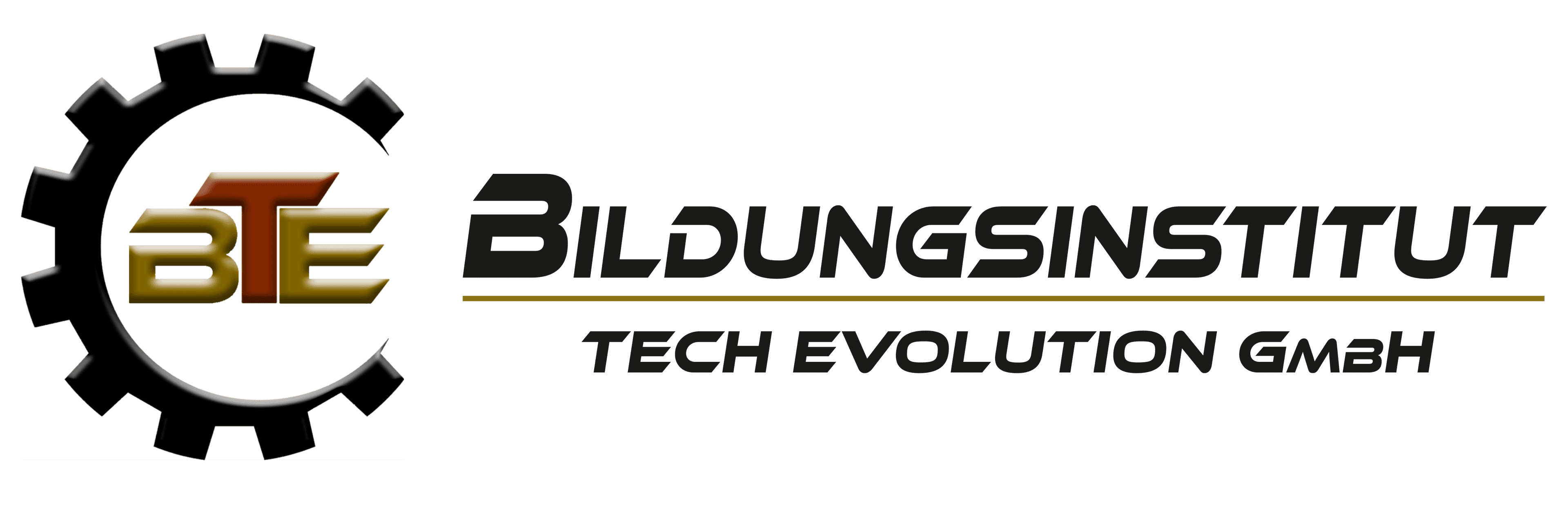 BTE Bildungsinstitut Tech Evolution GmbH